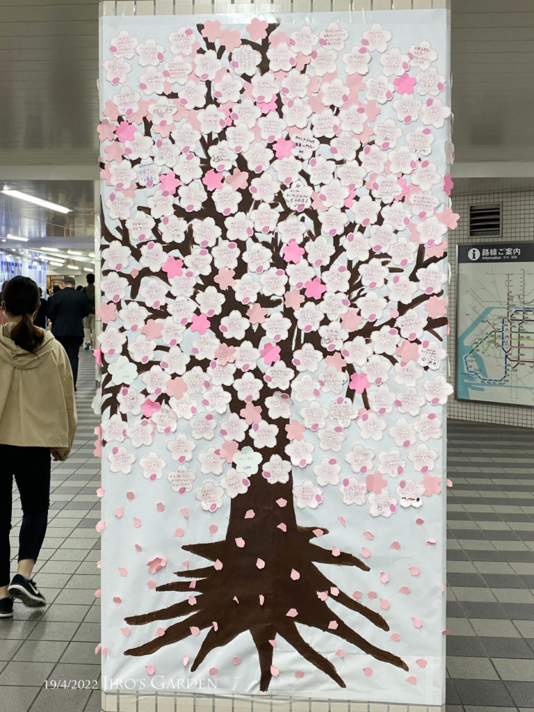 地下鉄通路の柱側面、幅1.5mくらい、高さ2.5mくらいの模造紙に茶色い桜の幹がいっぱに描かれ、その上にサクラの花を模したメッセージカードがびっしり。