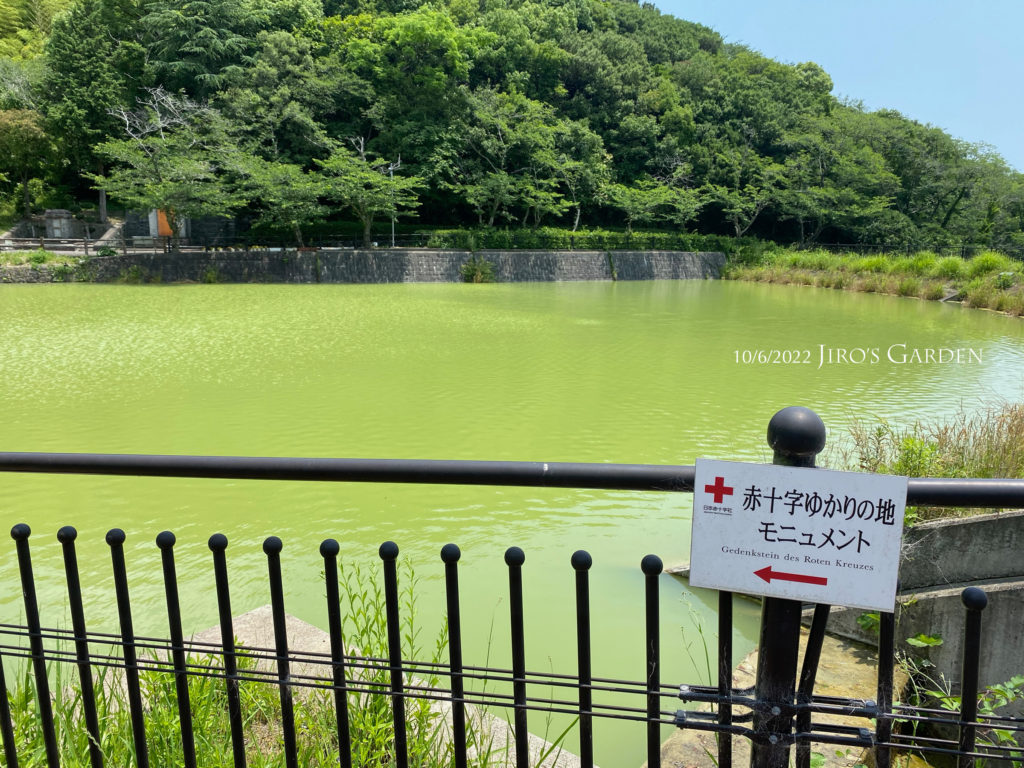 池の辺に「赤十字ゆかりの地モニュメント」の方向看板