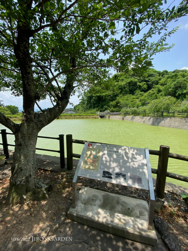慰霊碑説明板とそばにある桜の木、そして池