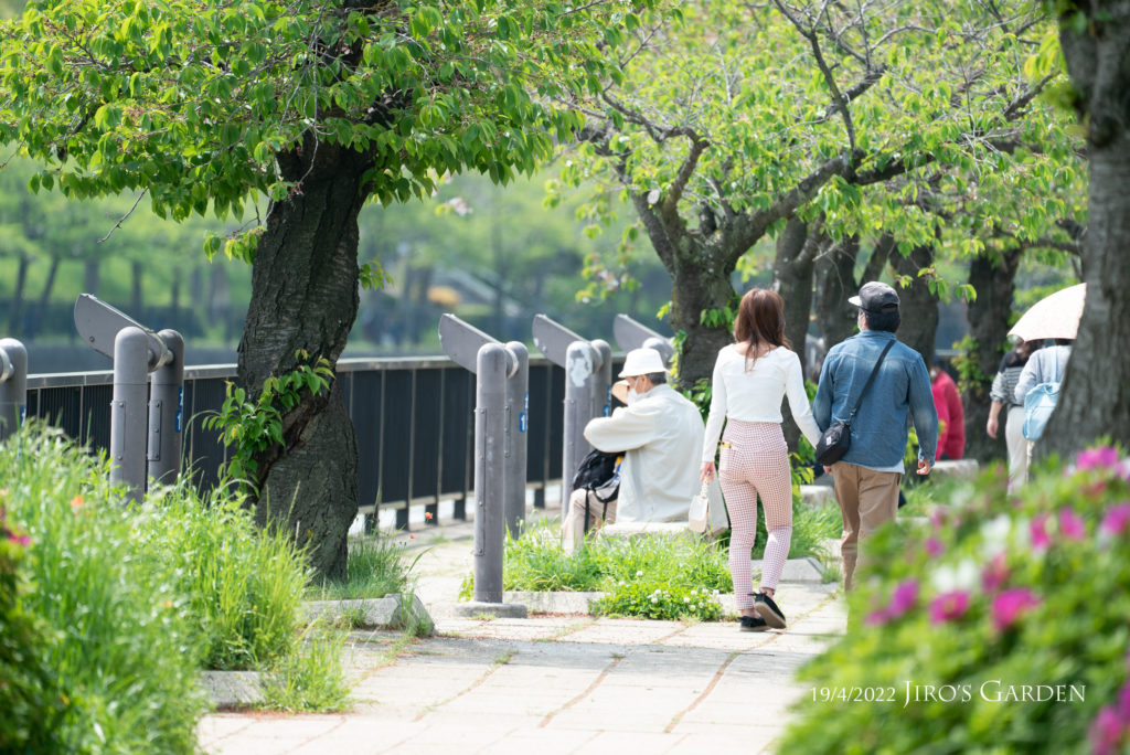 川沿いの歩道のベンチで休む人、手を繋いで楽しそうにあるくカップル、日傘を差して歩く女性などを望遠で後ろから。