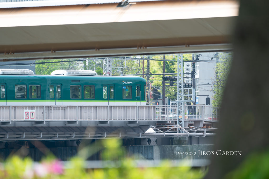 対岸を天満橋へ向かう緑色の京阪電車。先頭車両。