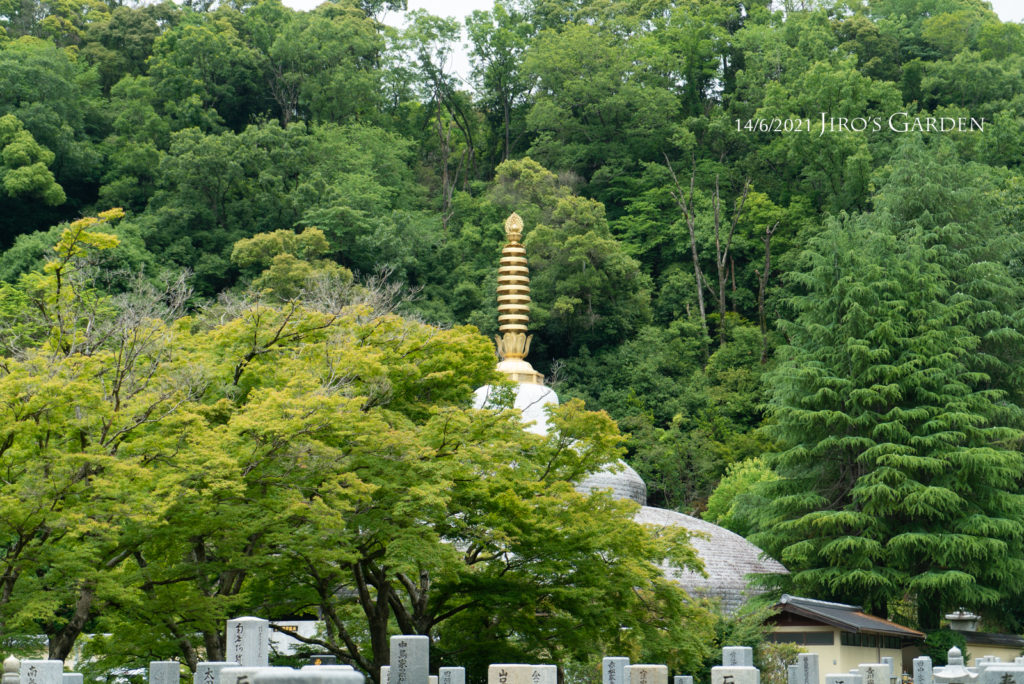 仏塔の最上部に聳える金色の相隣。