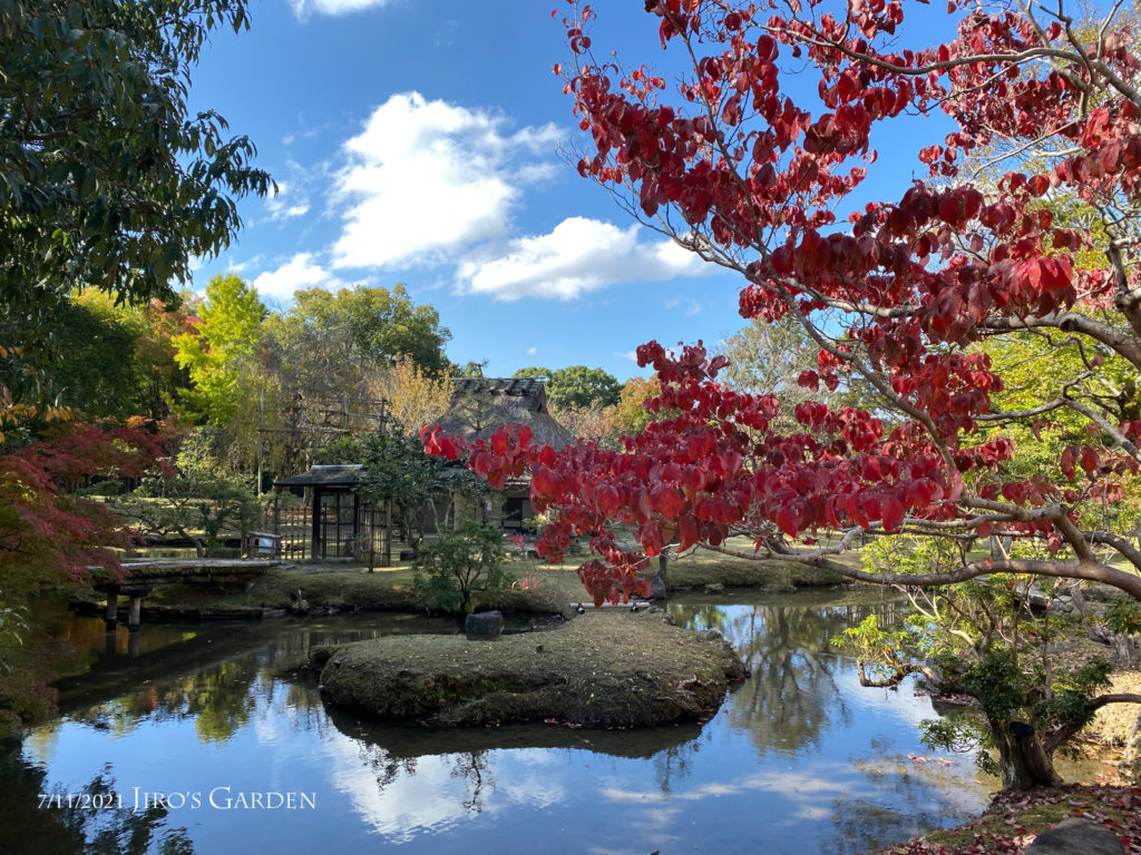 池と紅葉、向こう岸に茶室、青空。