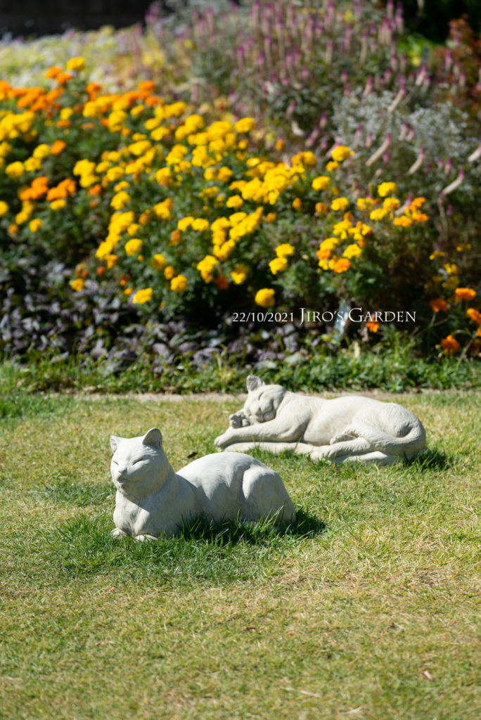 芝生にネコ2匹の石像。