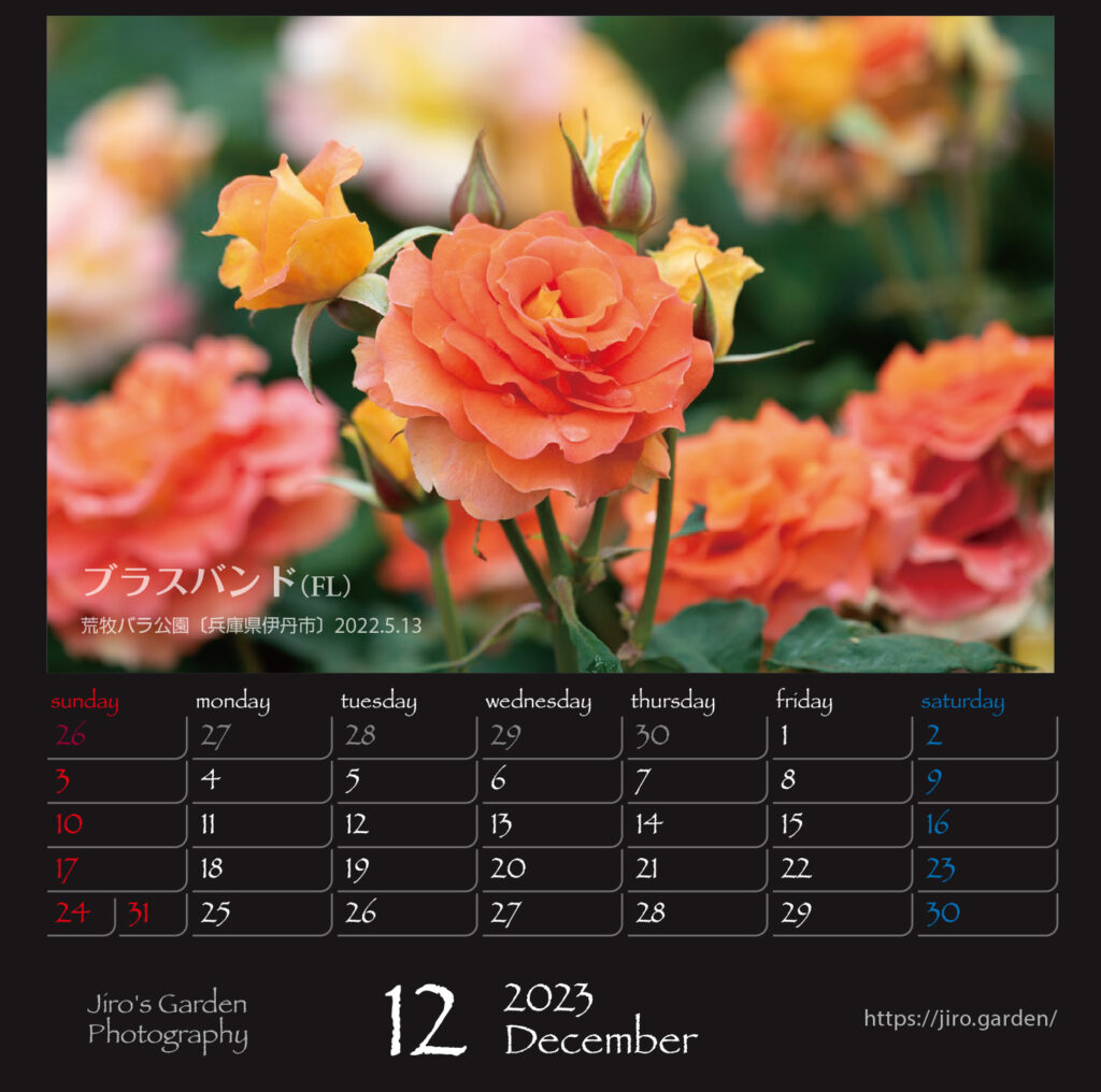 Flowers12月：ブラスバンド（バラFL）荒牧バラ公園〔兵庫県伊丹市〕2022.5.13